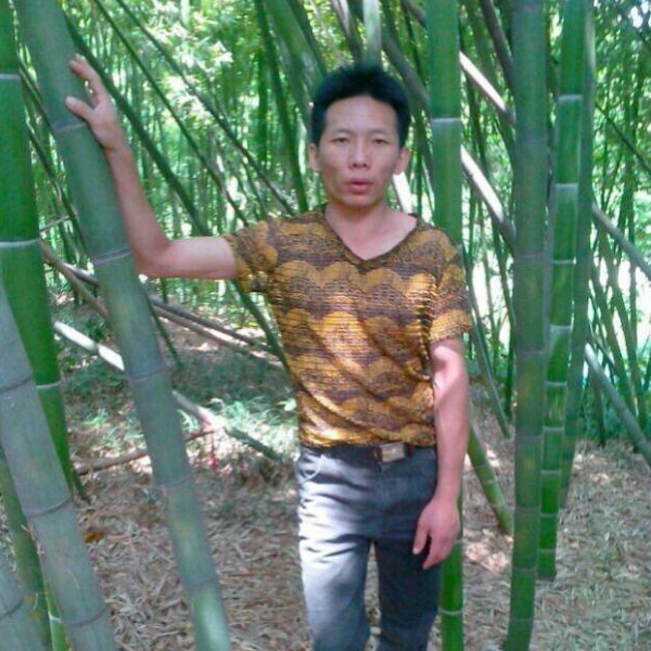 路过的只是风景的照片