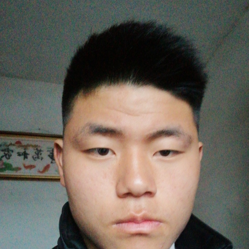 季节停止重要的照片