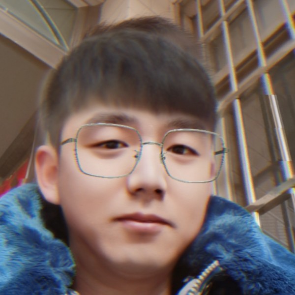 裙子停止華麗的照片