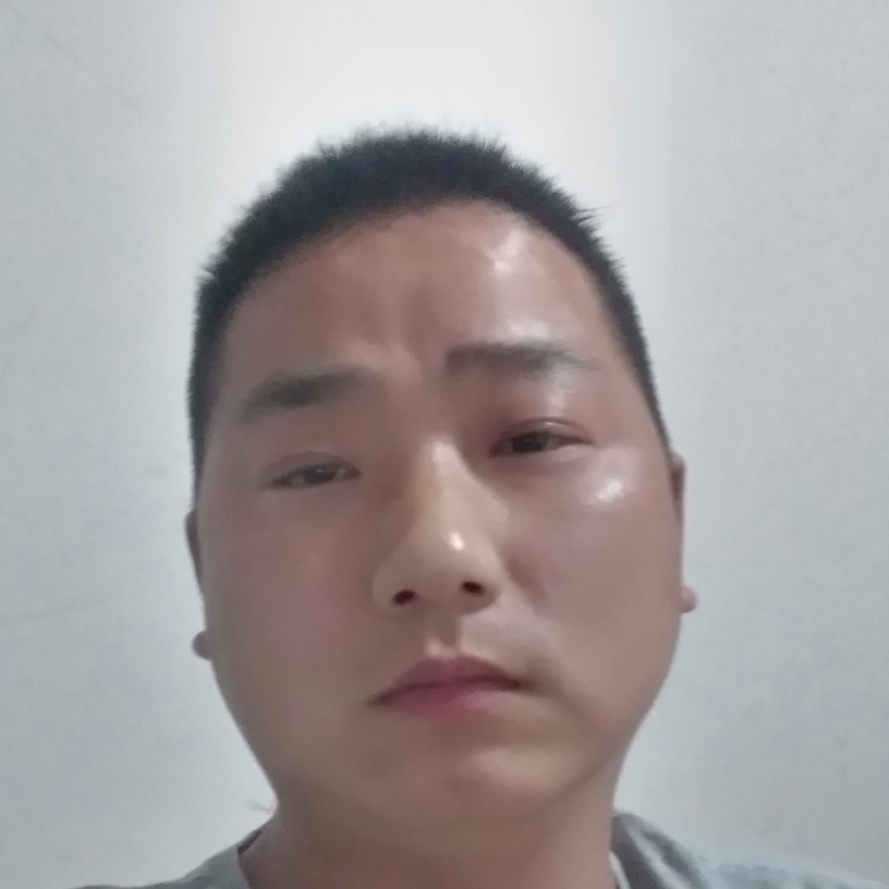 淡淡迎菠萝的照片
