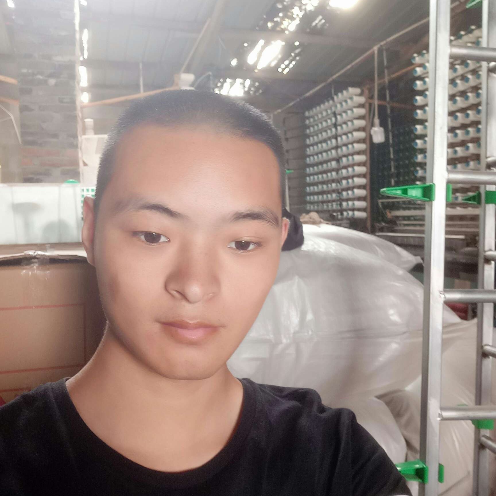 小蘑菇笑潇洒的照片