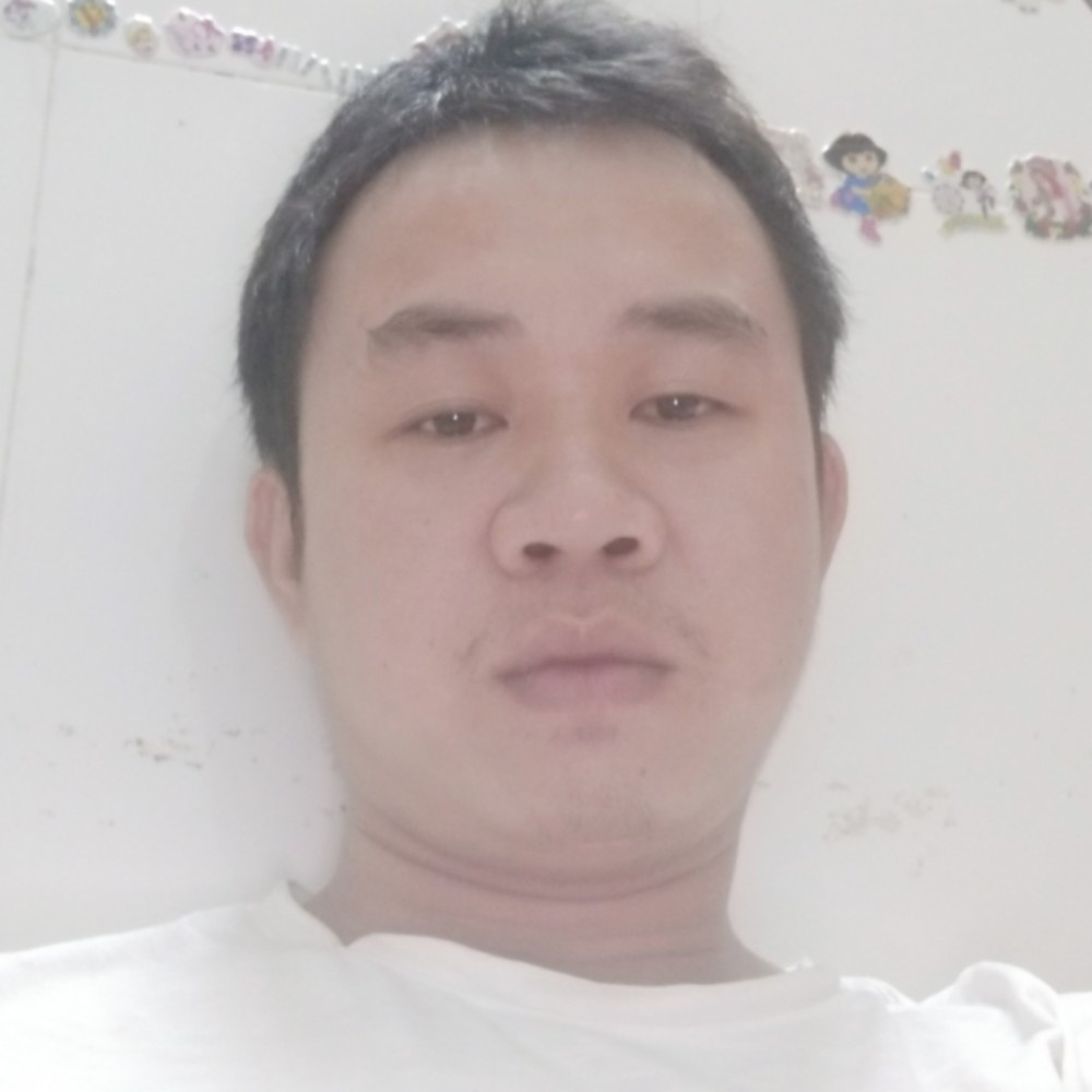 向日葵等待害羞的照片