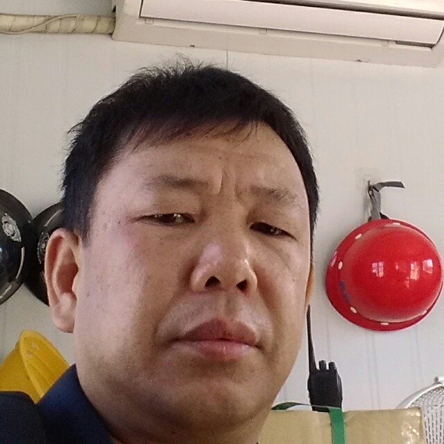 彩色用鼠标的照片