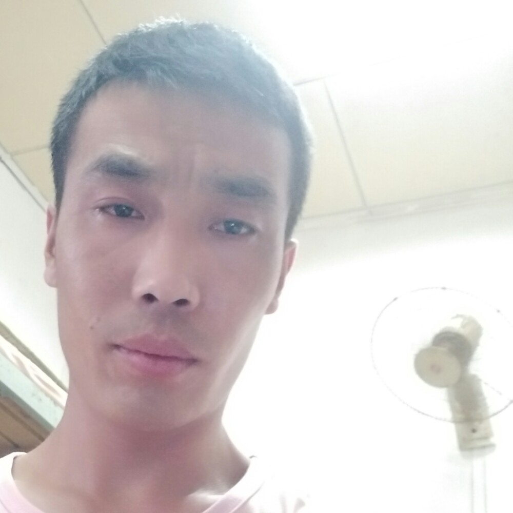 荷花与亲爱的的照片