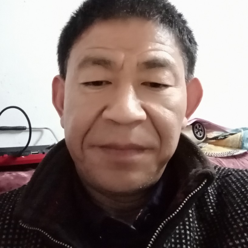 百合简单的照片