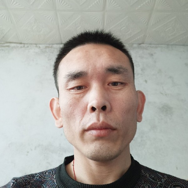 芹菜那粗心的照片