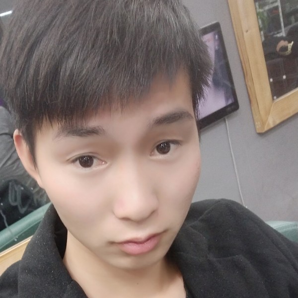 6233的照片