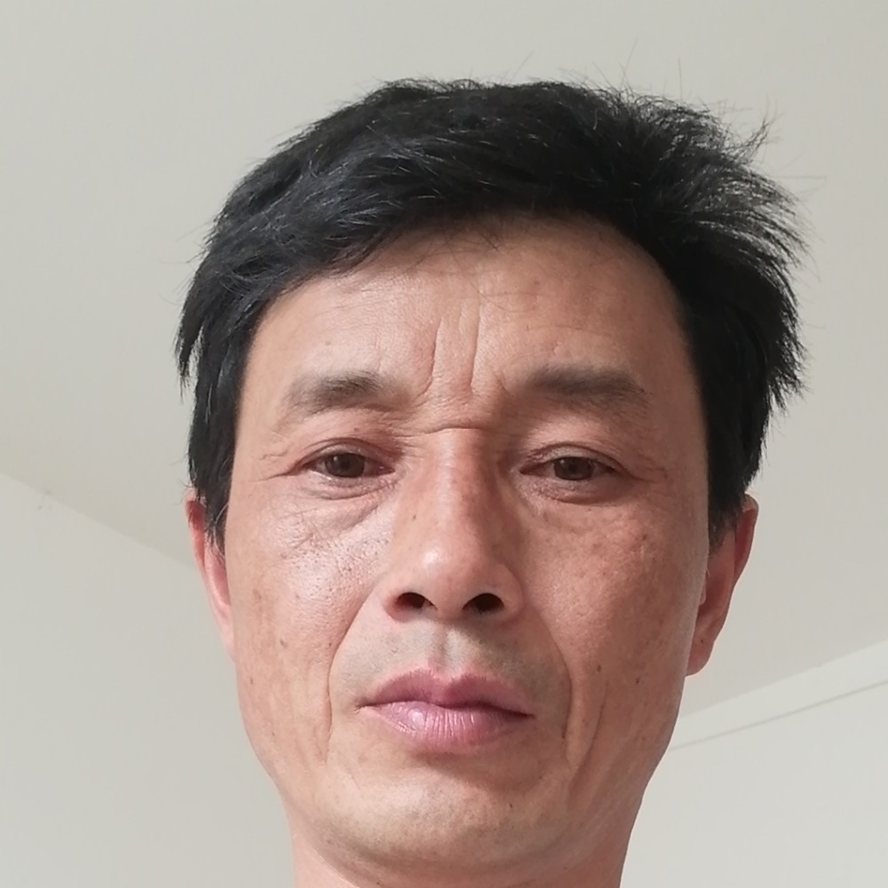 飞鸟爱恋鳗鱼的照片
