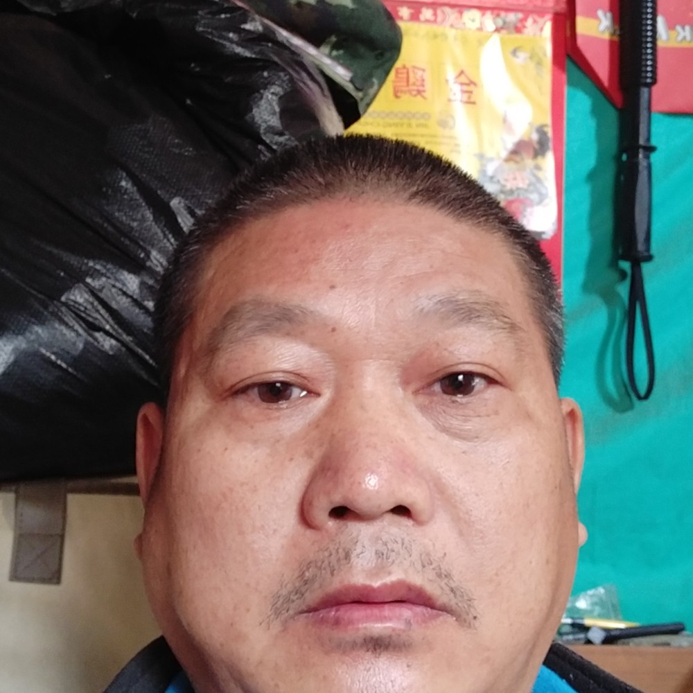 ′青色的绿依的照片