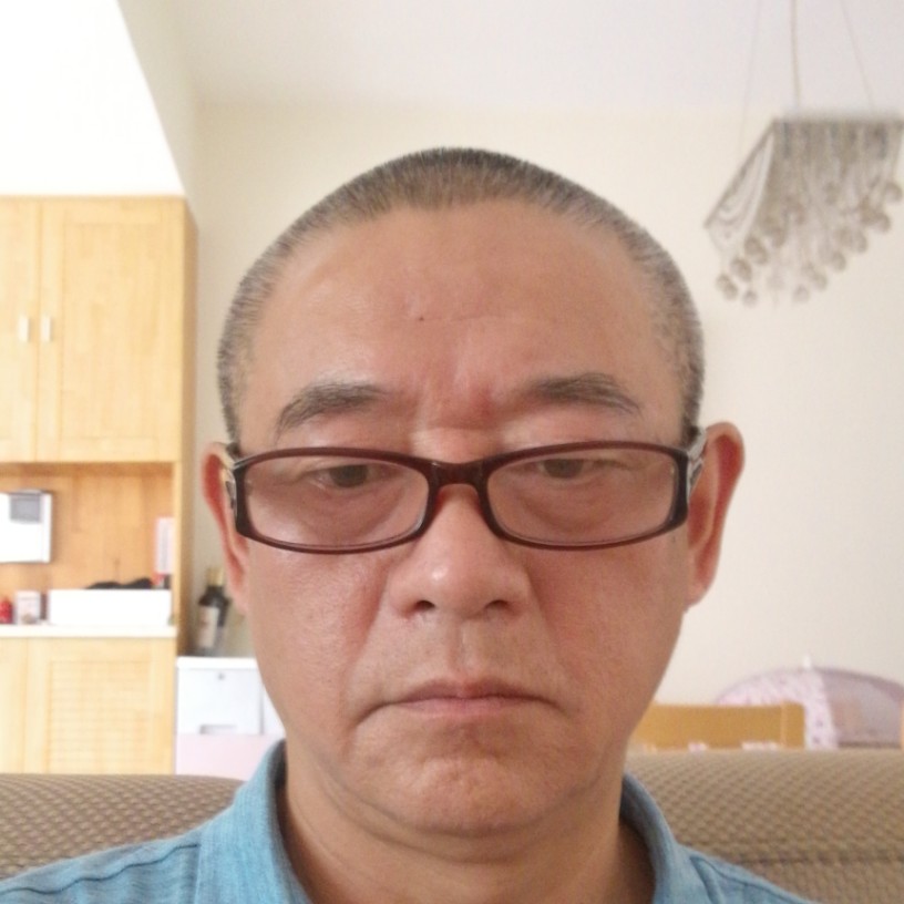 务实漫步鸵鸟的照片