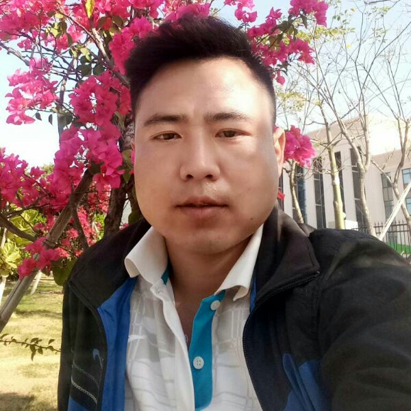 处理违章的照片