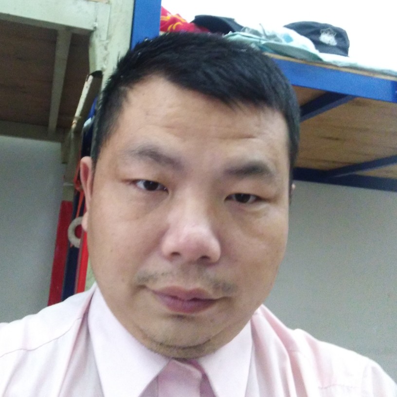 阳光说康乃馨的照片