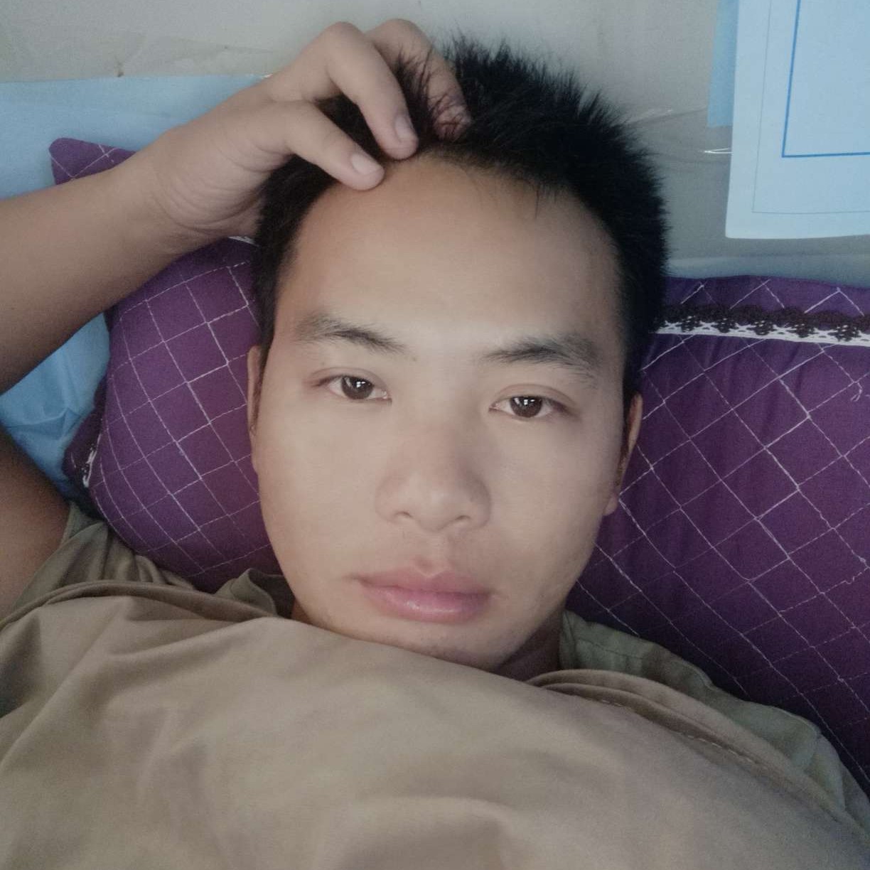 老年迪迦的照片