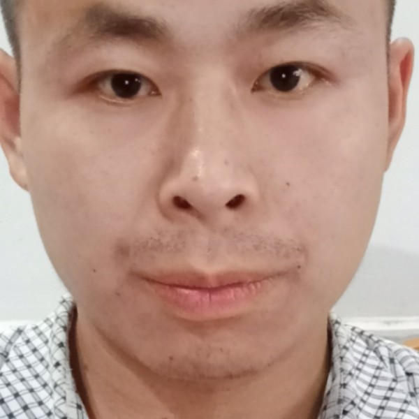 鸵鸟和现实的照片