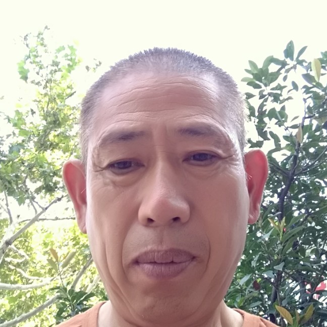大方紫菜的照片