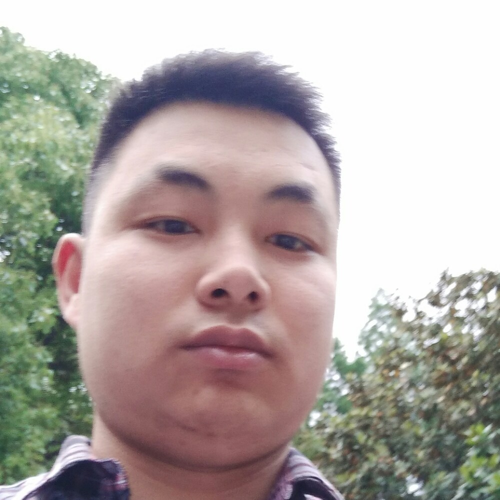 小小飞象的照片