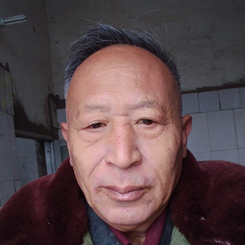 自觉奇异果的照片