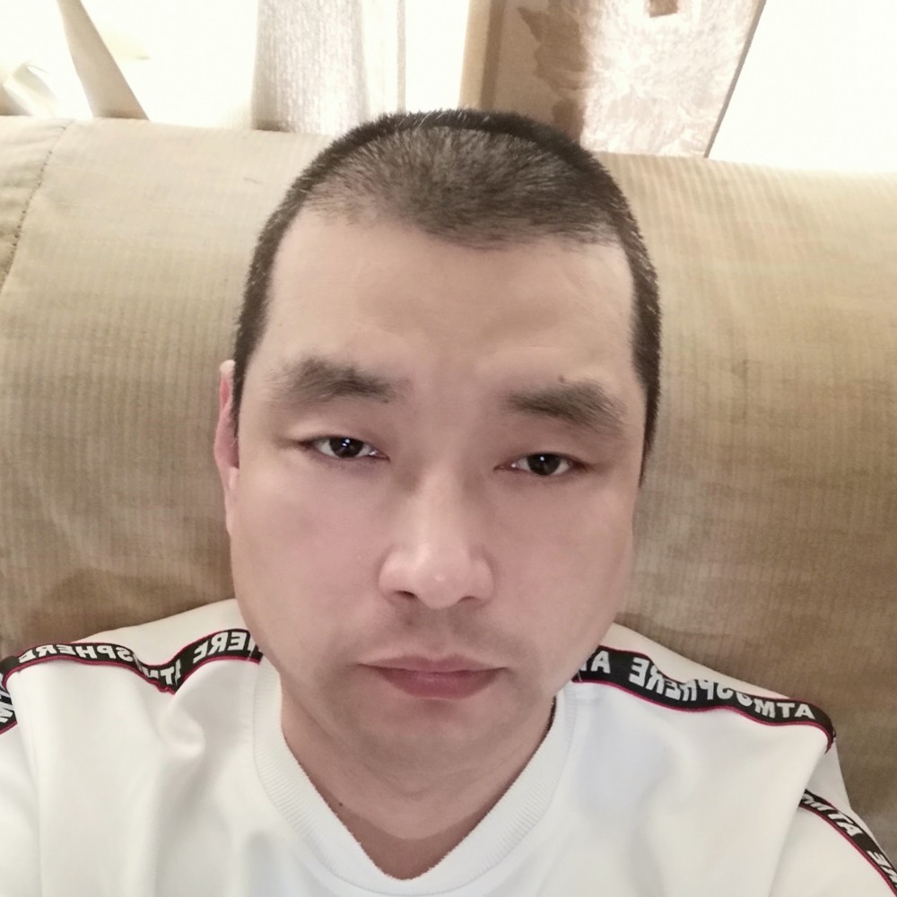 纸鹤的健壮的照片