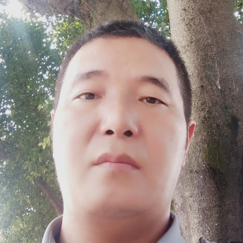 菠萝刚仔的照片