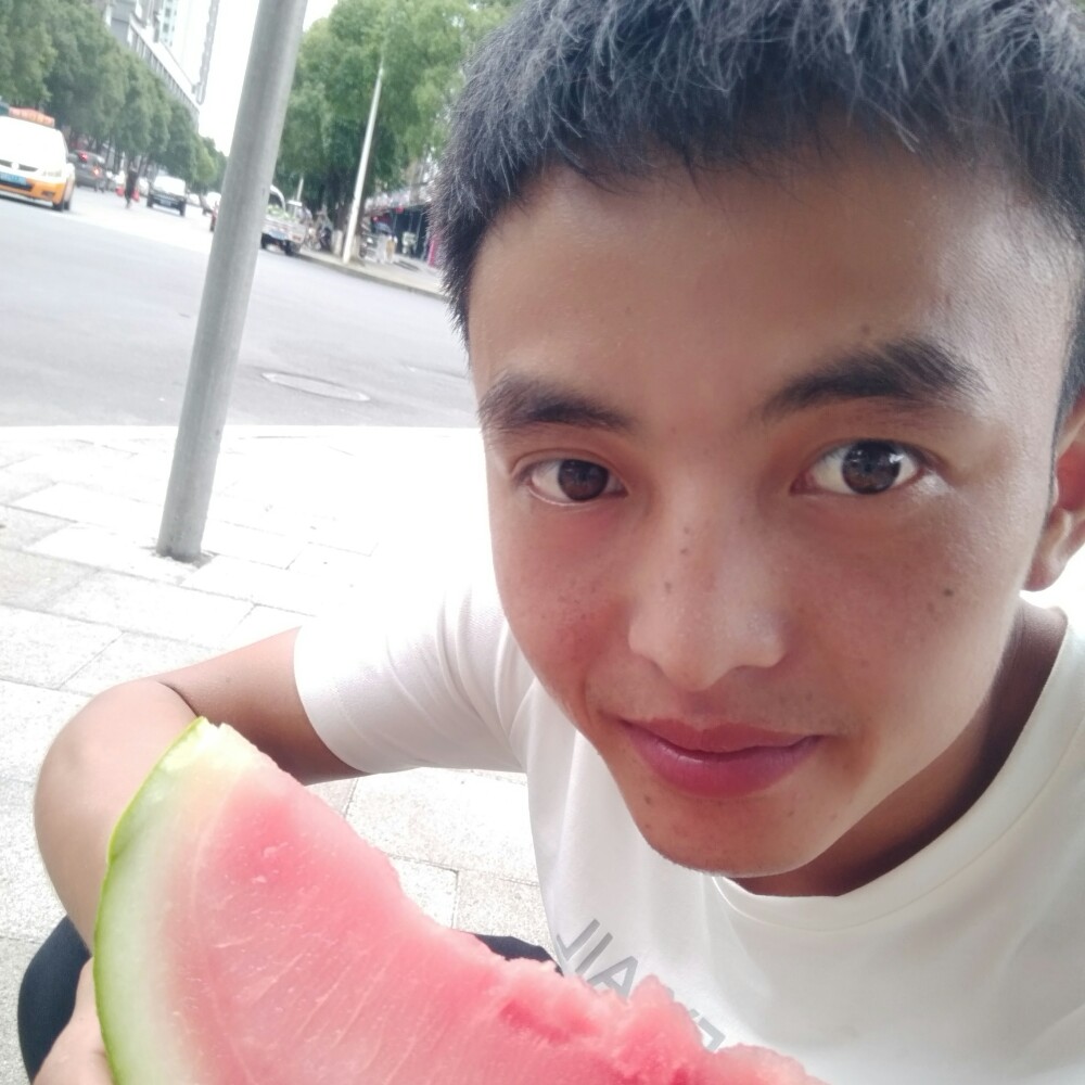 一片深林的照片