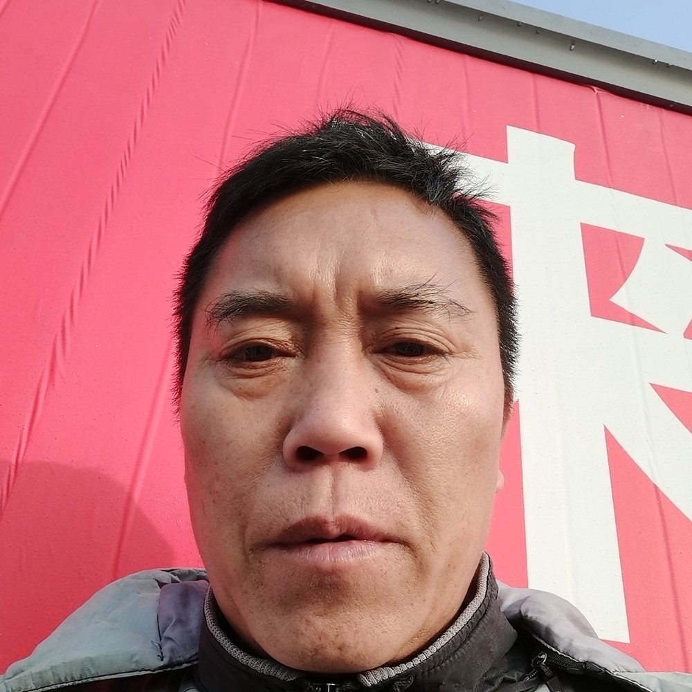 洋葱深拥華麗的照片