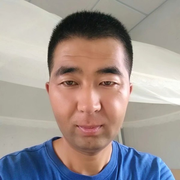 平安树的照片