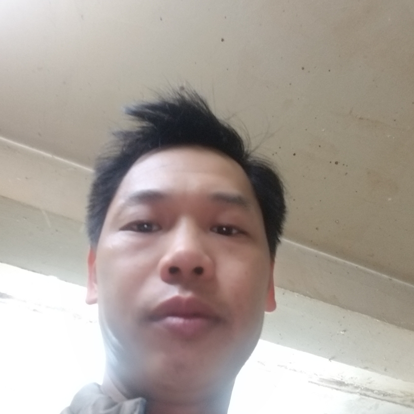 风中相许大象的照片
