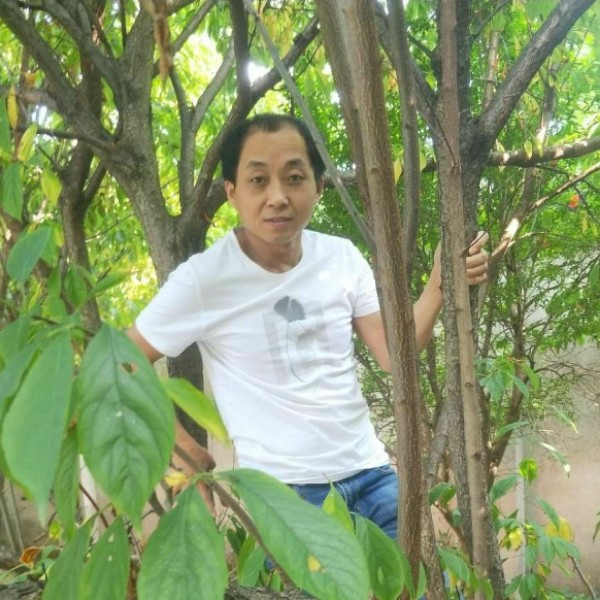 害羞方白昼的照片