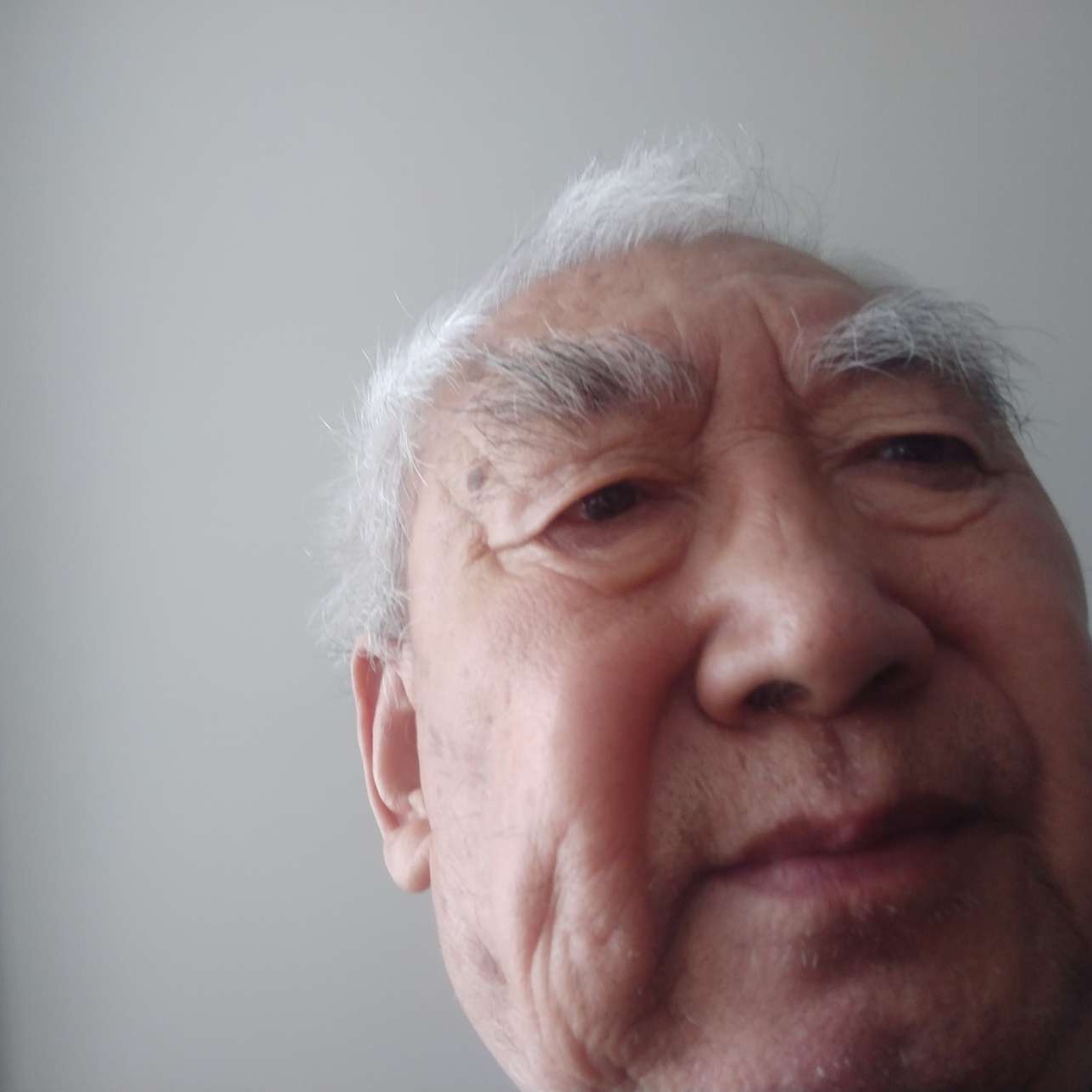 通晓的照片