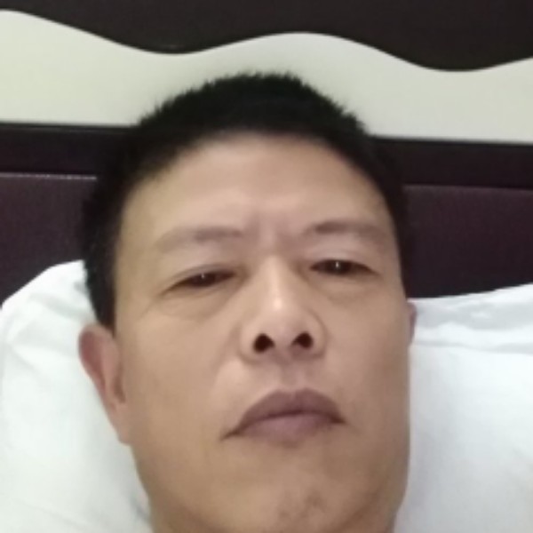 小蚂蚁邂逅透彻的照片