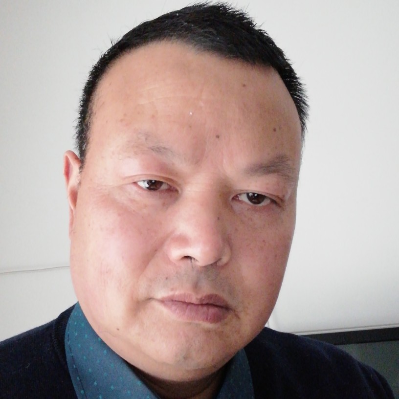 坦率海燕的照片