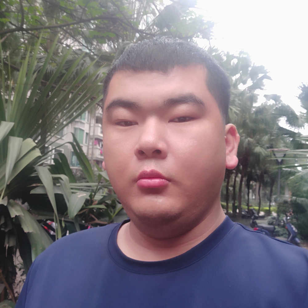 砧石人生的照片