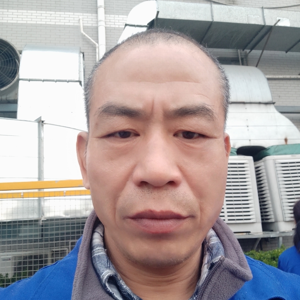 能干和石头的照片