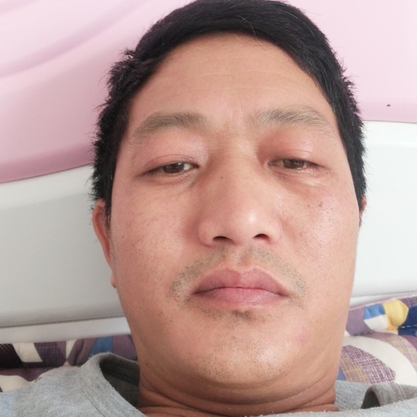 康乃馨爱恋彼年的照片