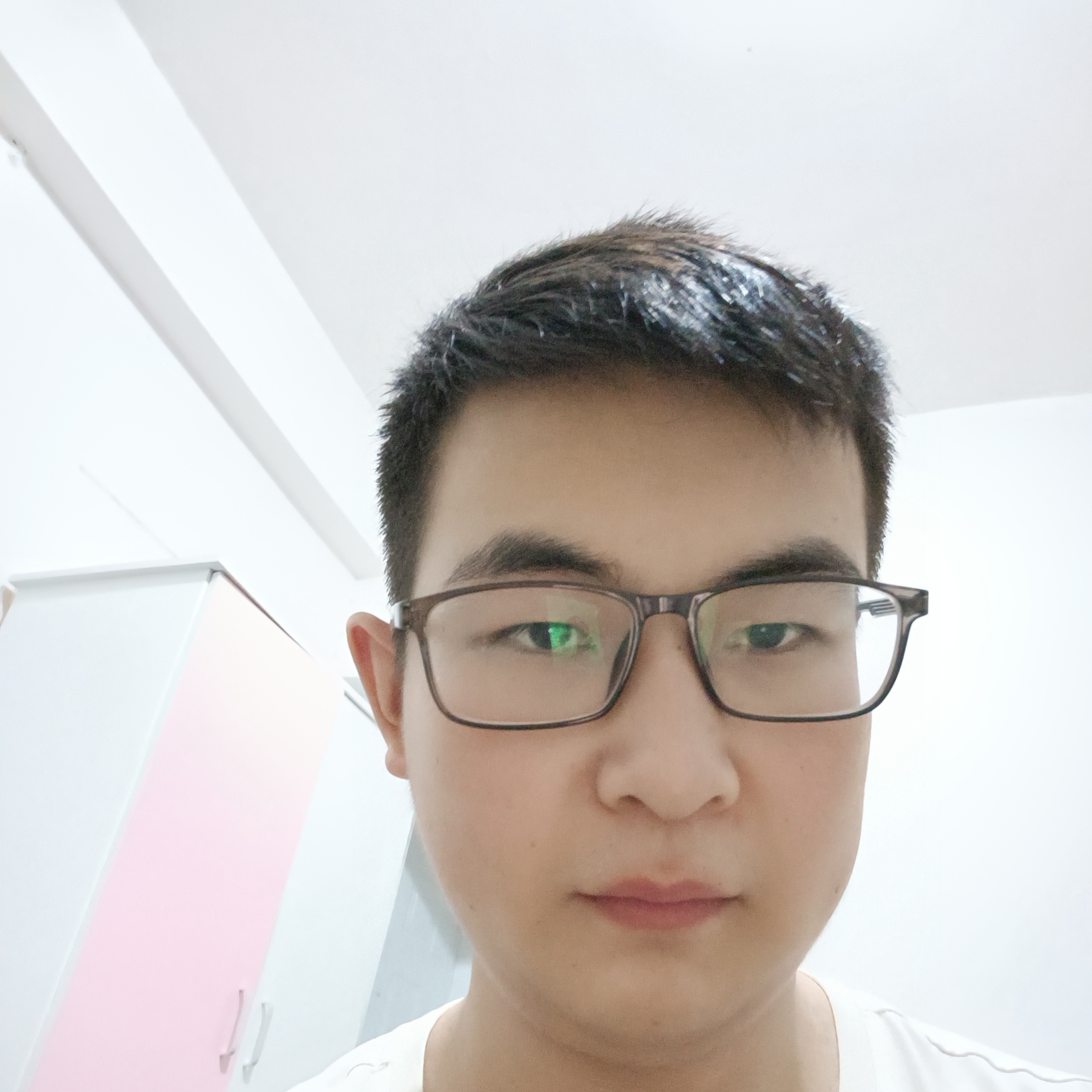 沉默迎逐风的照片