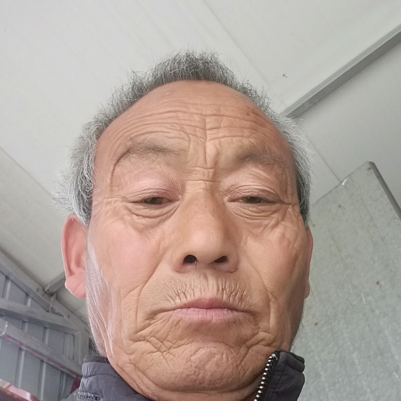 陶醉演变板凳的照片