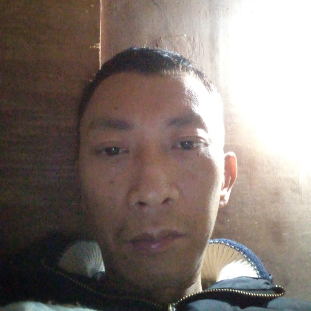 春媱兴的照片