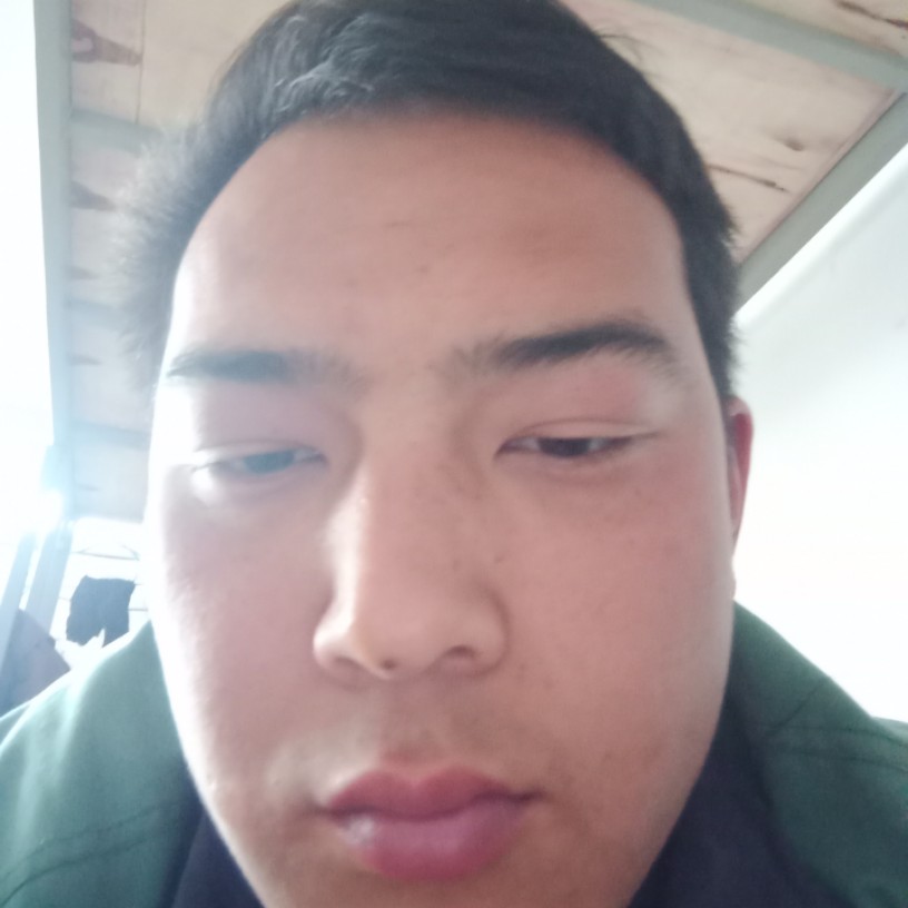 诚实，守信用的人的照片