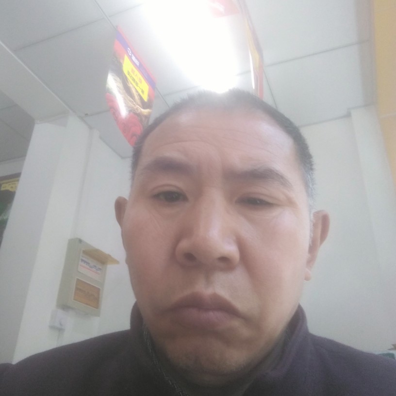 杏林枯木的照片