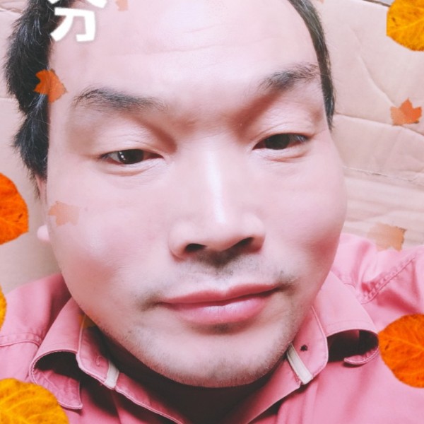 高挑愿梦影的照片