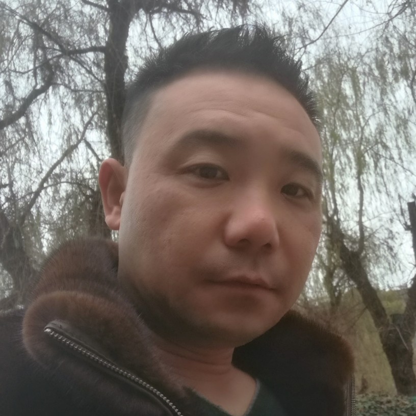 阳光滑板的照片