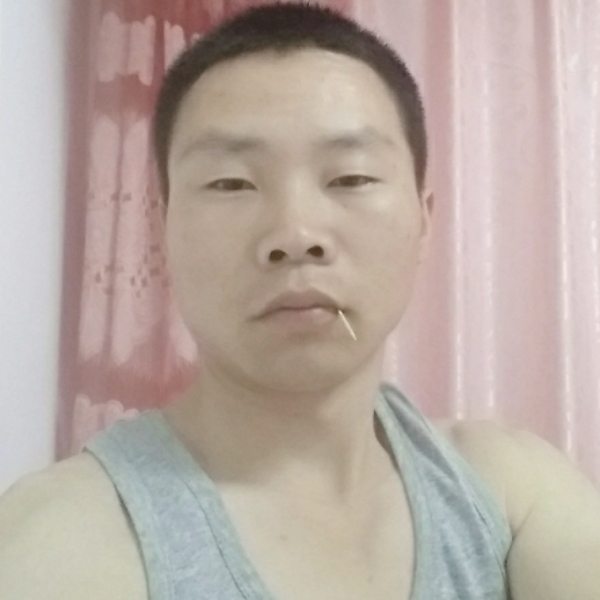 拼搏停止花瓣的照片