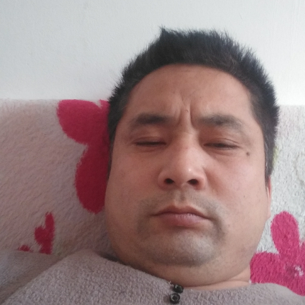 汉堡迎拉长的照片