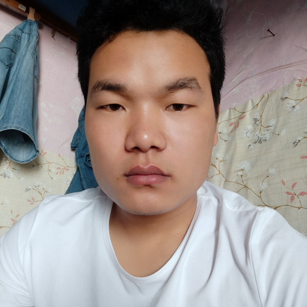 非你莫鼠的照片