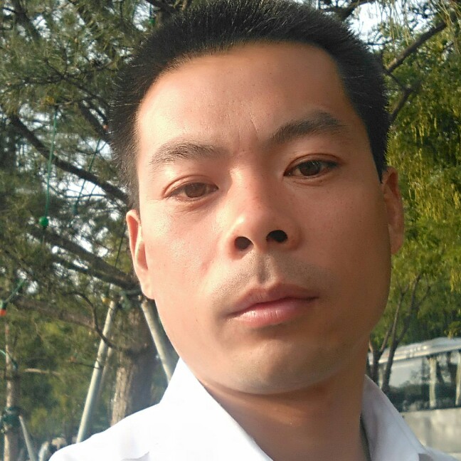 你就试试吧的照片