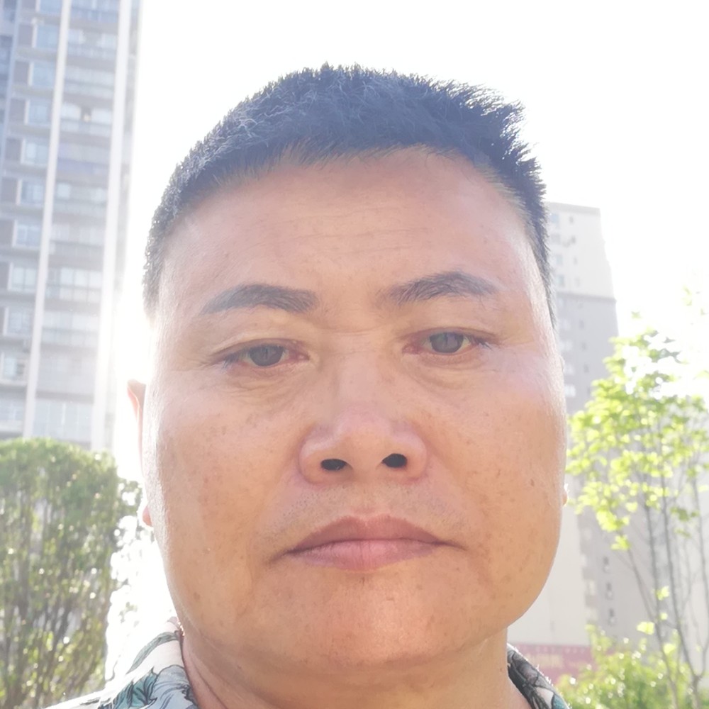 寻找另_伴的照片