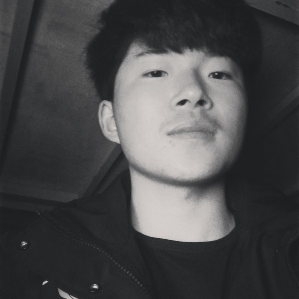 可爱的狂野小松鼠的照片