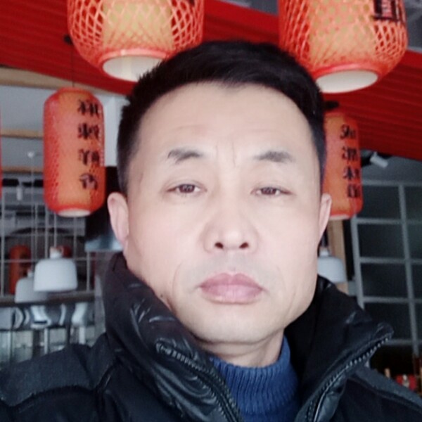 绿叶的情意的照片