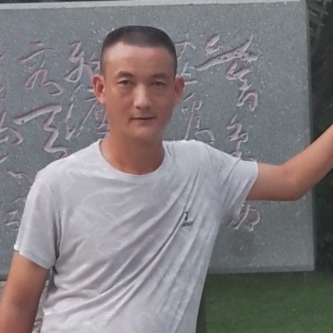 彩色回眸白猫的照片