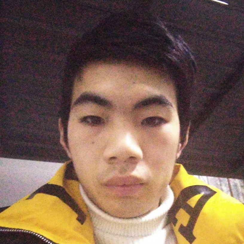 优美倾心老虎的照片